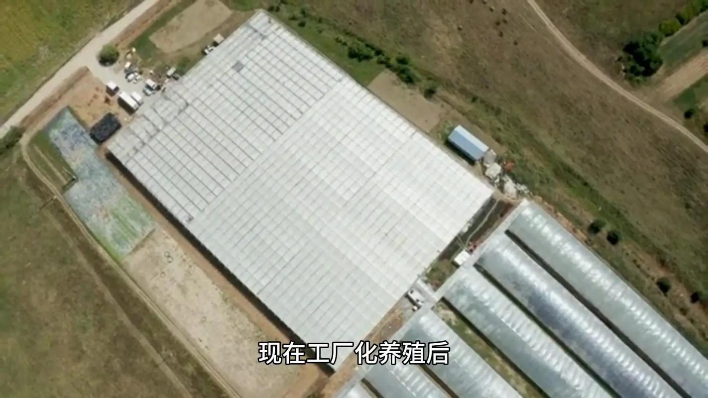 溫州首個黔羽智慧水產養殖基地建成投用，蒼南開啟水產養殖新篇章