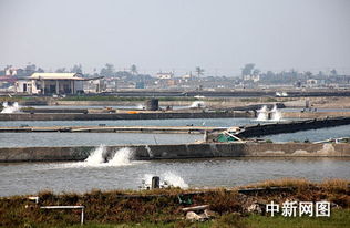 臺灣屏東縣朝清水產(chǎn)養(yǎng)殖集團(tuán)漁場掠影 探尋現(xiàn)代水產(chǎn)養(yǎng)殖的卓越典范