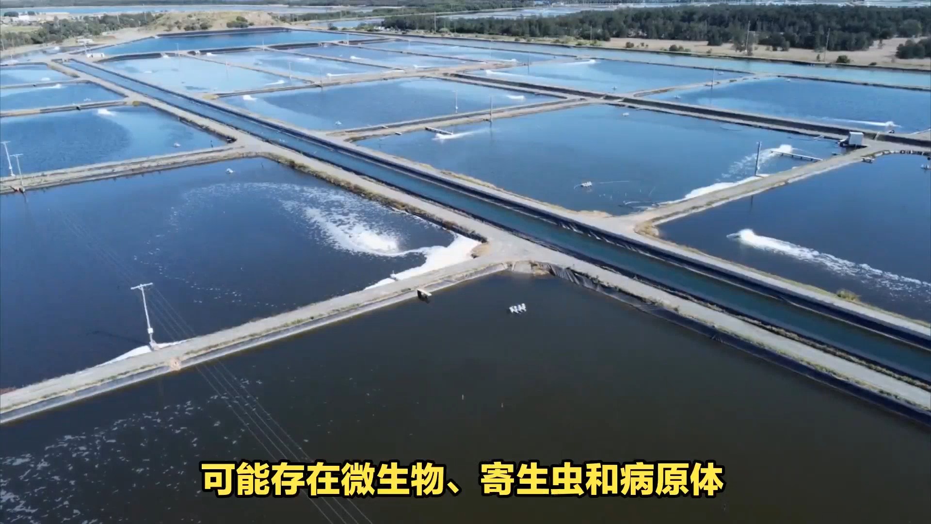 水產養殖尾水處理方法全面解析