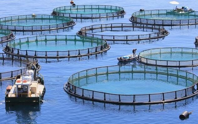 水產養殖5大商業模式的扶持與出路